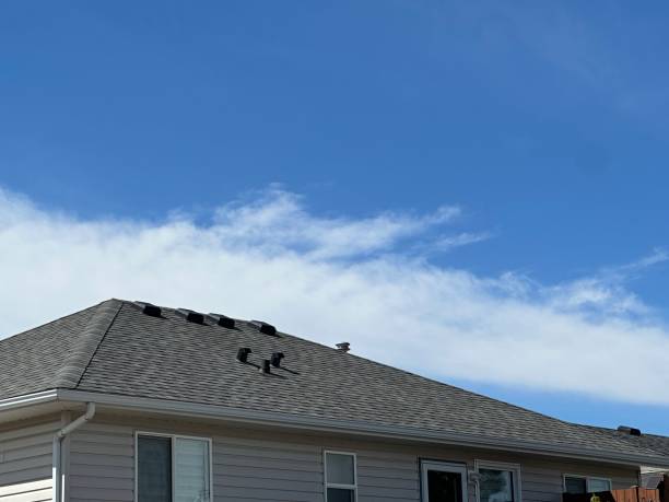 Best Roof Ventilation Installation  in Waynesburg, OH